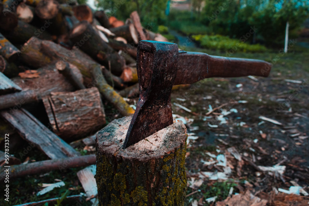 Axe is on the log. Harvesting firewood in the village with hatchet. Logs and timber on the ground in the countryside. House of farmer and woodcutter. Power of nature vintage retro eco farm. Axe is on the log. Harvesting firewood in the village with hatchet. Logs and timber on the ground in the countryside. House of farmer and woodcutter. Power of nature vintage retro eco farm.