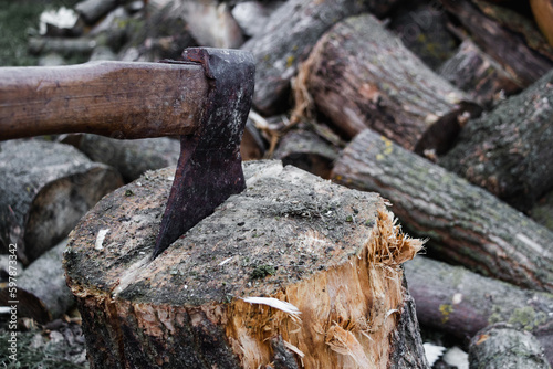Wallpaper Mural Axe tool is on the log. Harvesting firewood in the village with hatchet at the evening. Timber on the ground in the countryside. House of farmer and woodcutter. Power of nature vintage retro eco farm. Torontodigital.ca