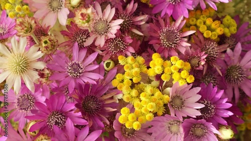 Wildflowers background rotating. Colorful bouquet of different beautiful fresh and dried flowers rotate, slow motion. Beautiful flower. Field dried immortelle