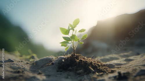 Green seedling growing from soil on blurred nature background | Green sprout | Ecology concept