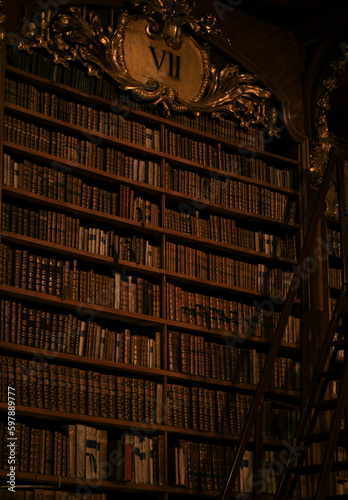 Classic Bookshelf um a beautiful library