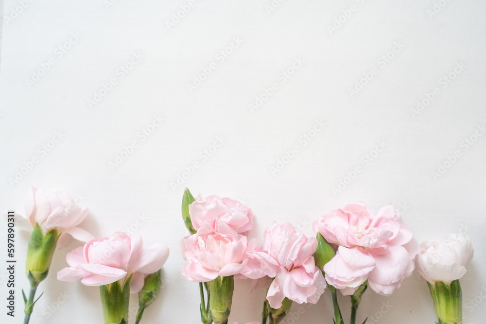 Fototapeta premium カーネーション 母の日ボタニカルフレーム