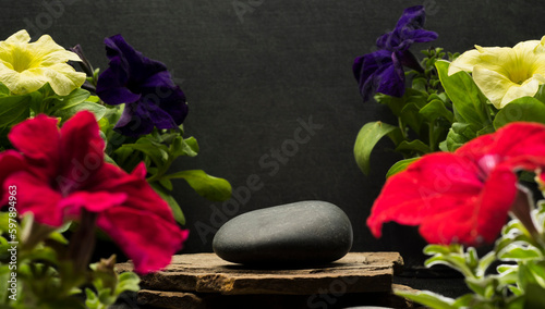 Canvas Print zen stone with colorful flowers for podium background