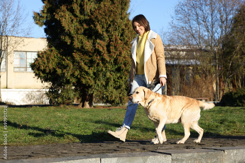 Beautiful young woman walking with cute Labrador Retriever on sunny day outdoors Beautiful young woman walking with cute Labrador Retriever on sunny day outdoors