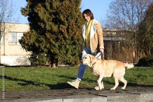 Beautiful young woman walking with cute Labrador Retriever on sunny day outdoors