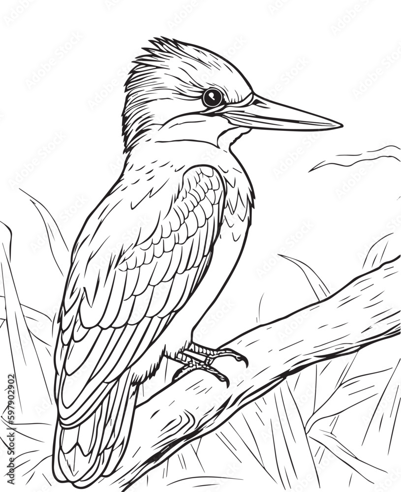 Fototapeta premium Hand drawn vector coloring page of kingfisher/humming bird. Coloring page for kids and adults. Print design, t-shirt design, tattoo design, mural art, line art. 