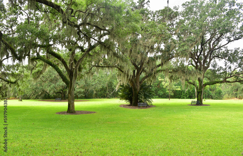 The pastoral scene is typical of the countryside seen in Lake wales in Florida