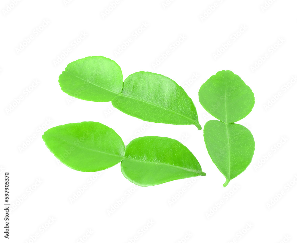 Bergamot fruit isolated transparent png Bergamot fruit isolated transparent png