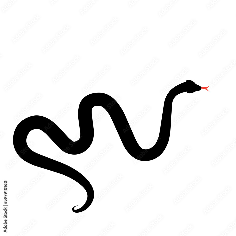 Fototapeta premium venomous snake silhouette