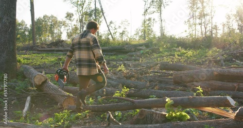 bearded forester walking among fallent trees, logs, wood, going to cut them Deforestation, forest cutting concept. slow motion lifestyle job profession nature photo