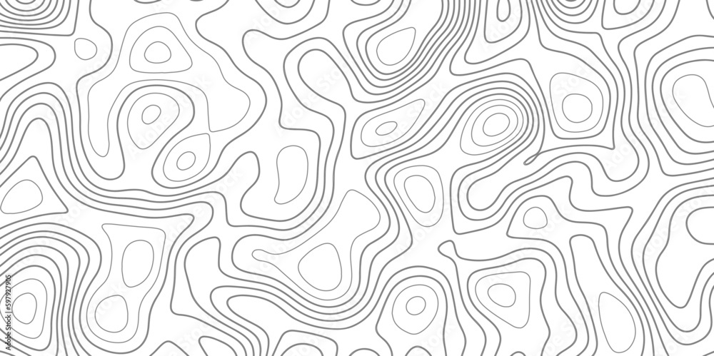 Abstract topography and geography grid background. Business concept. Abstract weather map. Topographic map lines, contour background. Vector illustration. wave Line topography map contour background .