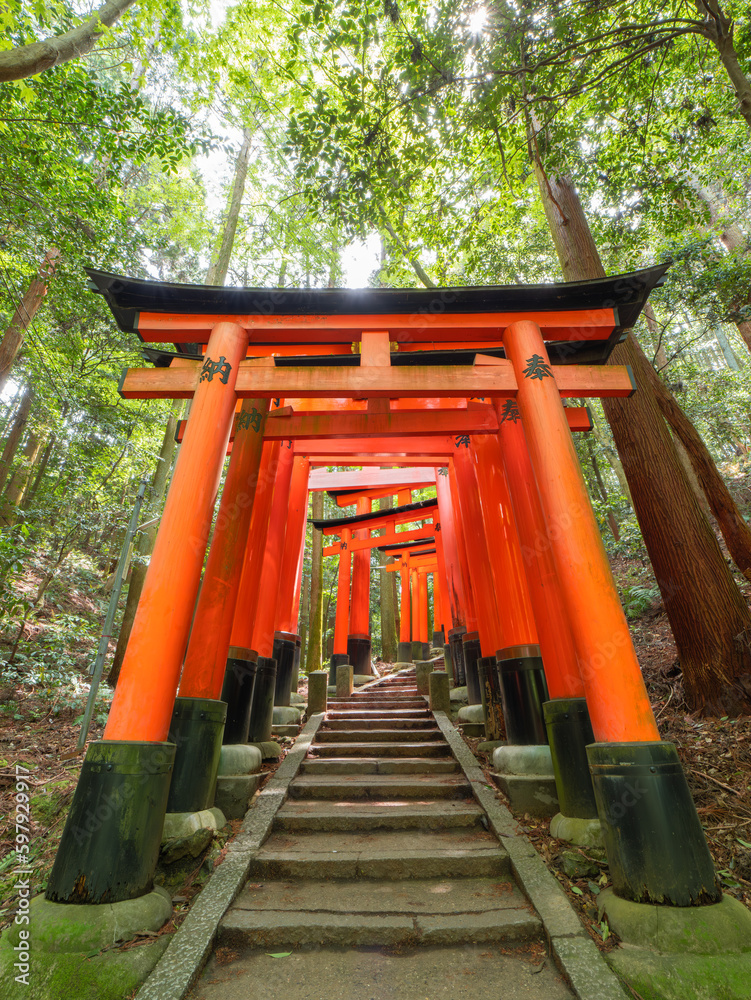 Dramatic view of walking in red gates Dramatic view of walking in red gates