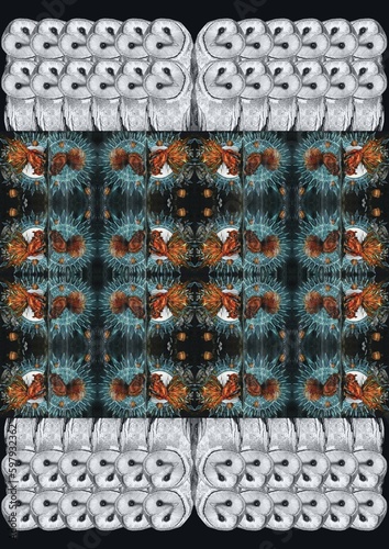 DIGITAL PRINTS AND PATTERNS