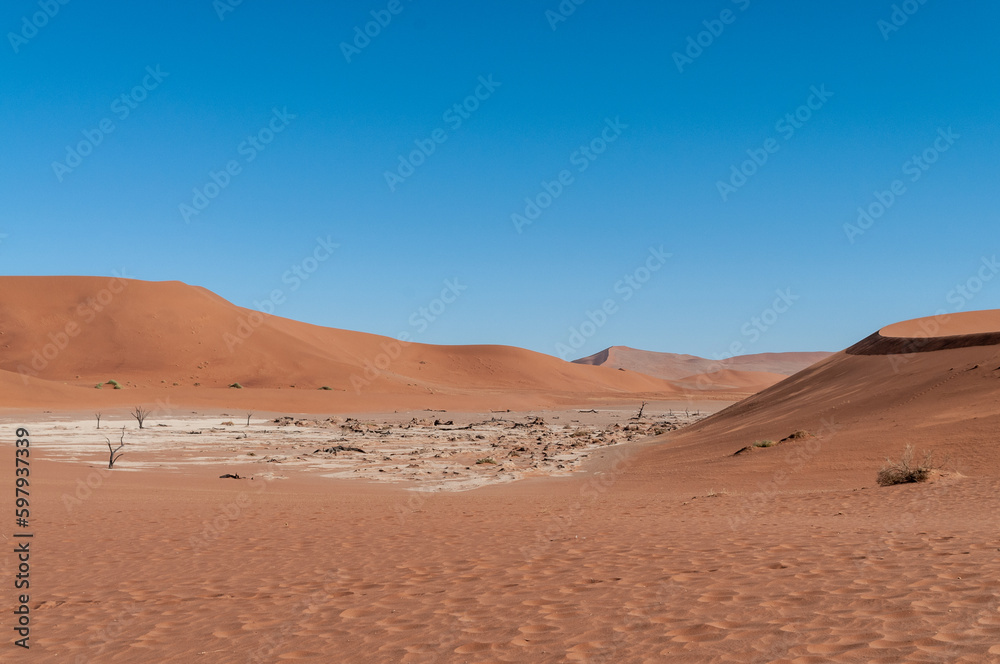 Wide angle view of the red sanddunes of the namibian deadvlei area.
