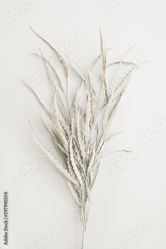 Beautiful background with neutral white leaves bouquet. Minimal, stylish floral concept. Parisian vibes