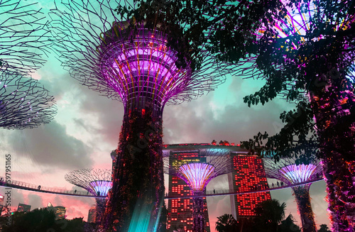 ショーイベント・ガーデン・ラプソディ