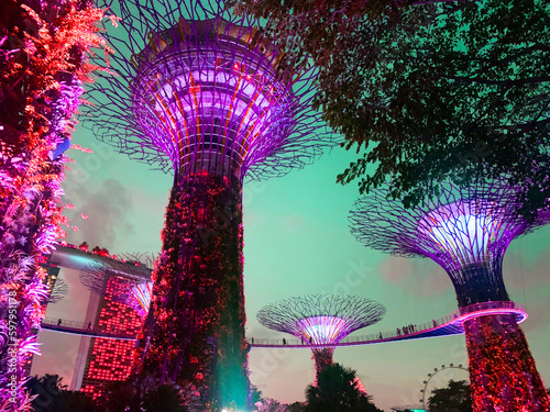 ショーイベント・ガーデン・ラプソディ