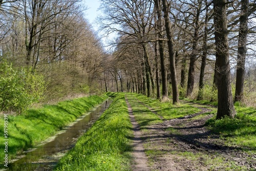 landscape with river © Ulrich