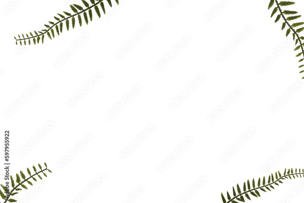 Obraz premium background-나뭇잎_03