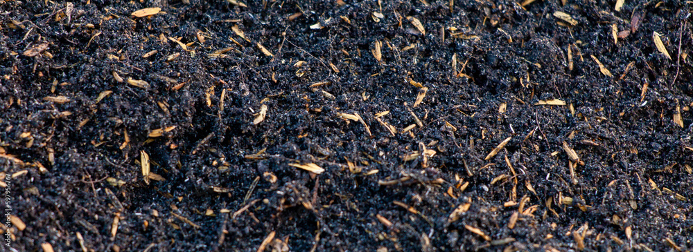 Soil for planting. Soil meat. Soil mixed with rice hulls, coconut residue to make bio soil. Soil for planting. Soil meat. Soil mixed with rice hulls, coconut residue to make bio soil.