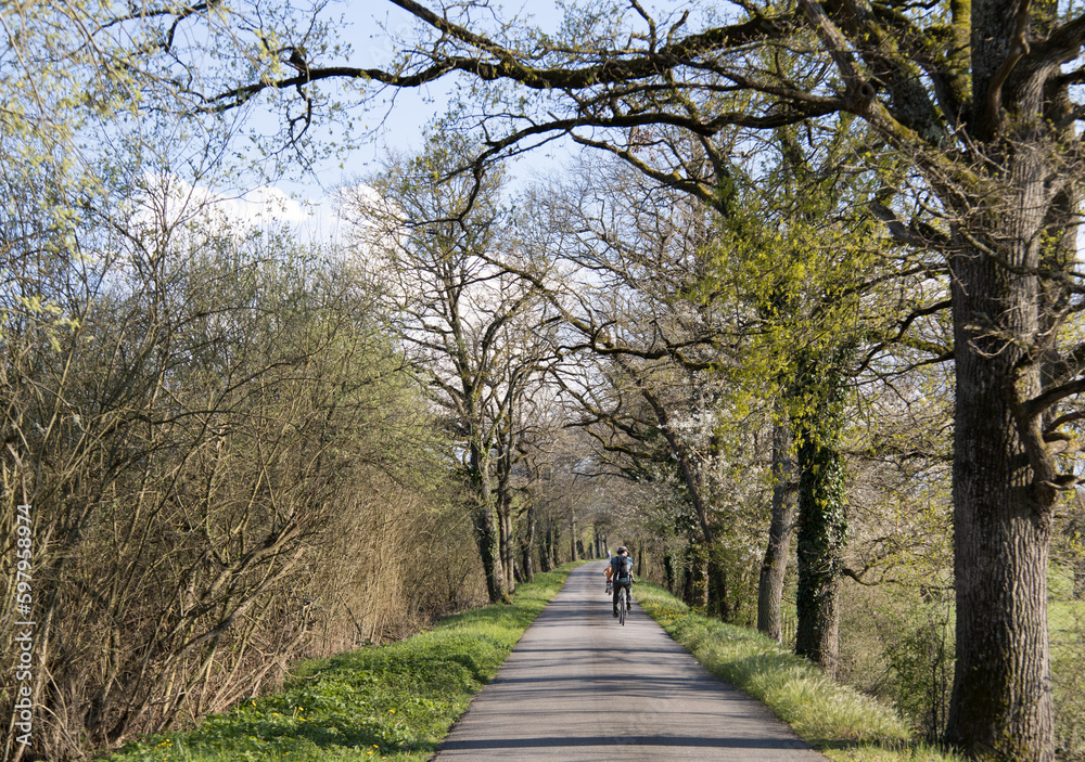 cycliste sur une route au printemps