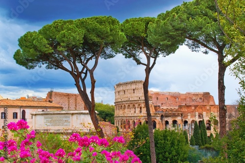Canvas Print Colosseum, Roma, Italy viewed from Palatine Hill