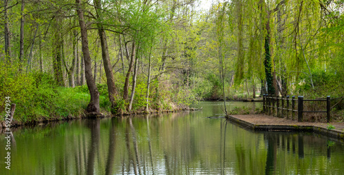 Nature water landscape in the Spree forest in germany