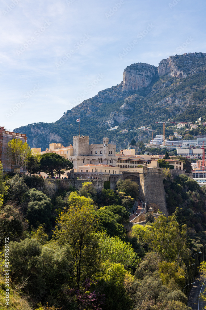 Obraz premium Palais Princier de Monaco sur son rocher