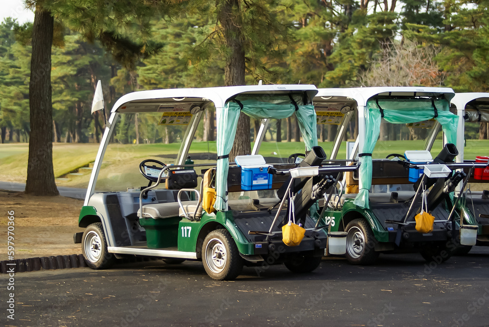ゴルフコースに設備されたゴルフカート