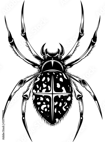 Spider Tattoo Sketch