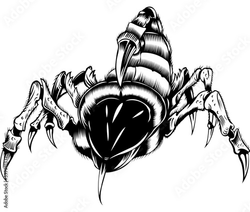 Scorpion Tattoo Sketch
