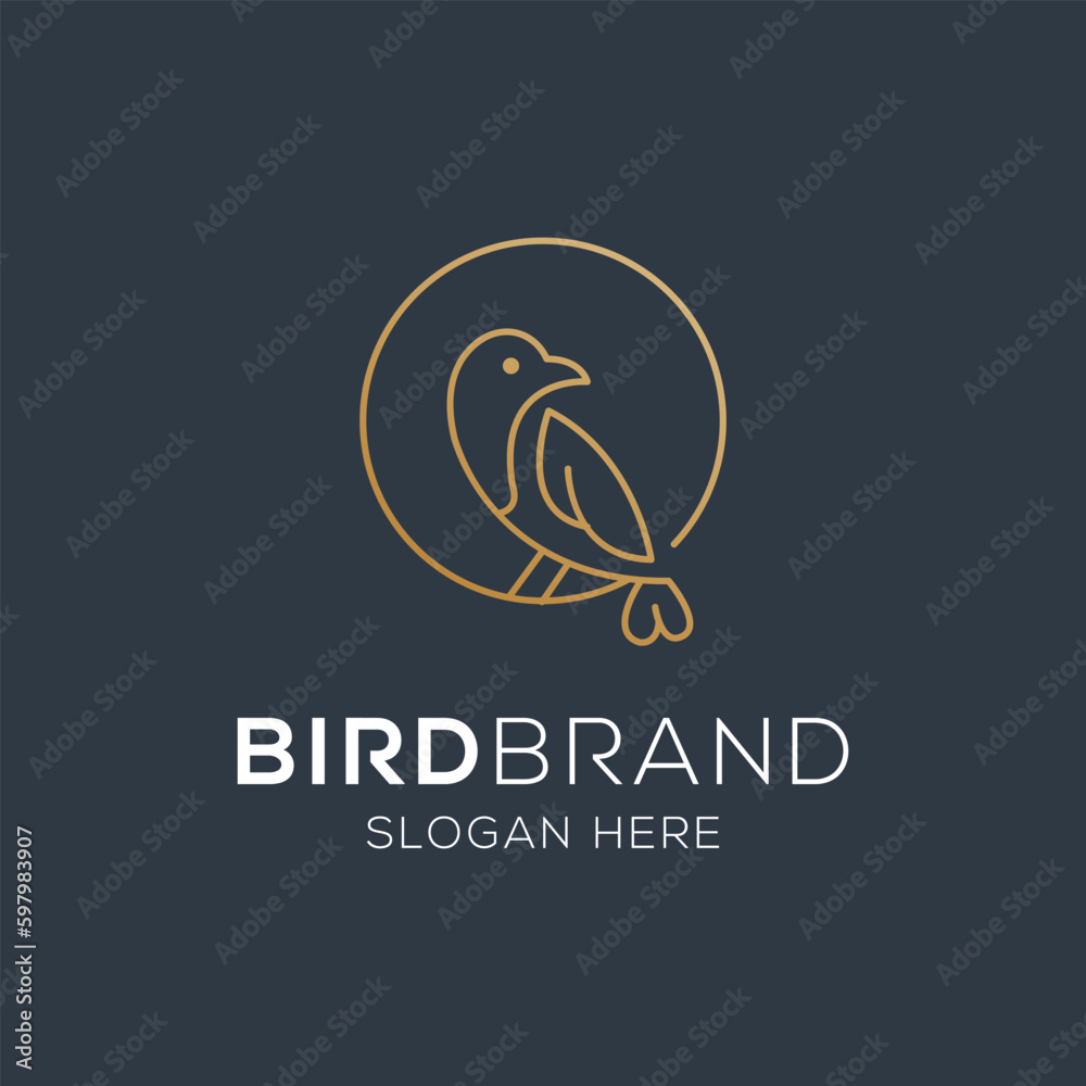 Bird vector logo. Fancy bird. Line vector logo design.