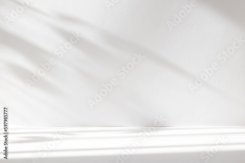 Abstract white studio background with shadows of window. Empty 3d room. Display product with blurred backdrop.