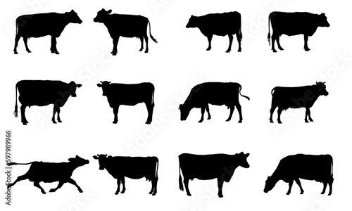 cow silhouette collection