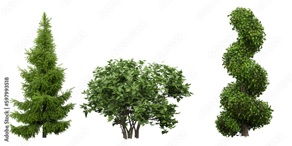 Fototapeta premium Transparent Jungle Captivating Cut-Out Plant Images