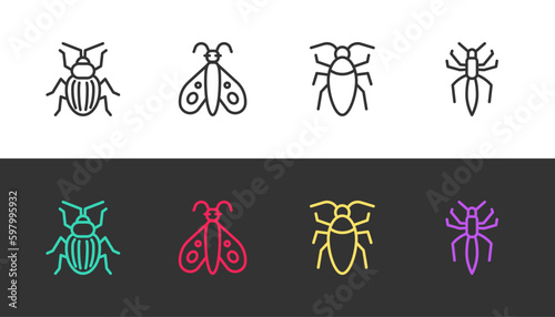 Set line Chafer beetle, Butterfly, Cockroach and Spider on black and white. Vector