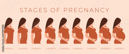 Pregnant woman with growing belly by months. Changes in a woman's body in pregnancy. Pregnancy stages. Faceless vector illustration. EPS 10.