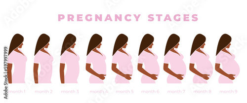 Pregnant woman with growing belly by months. Changes in a woman's body in pregnancy. Pregnancy stages. Faceless vector illustration. EPS 10.
