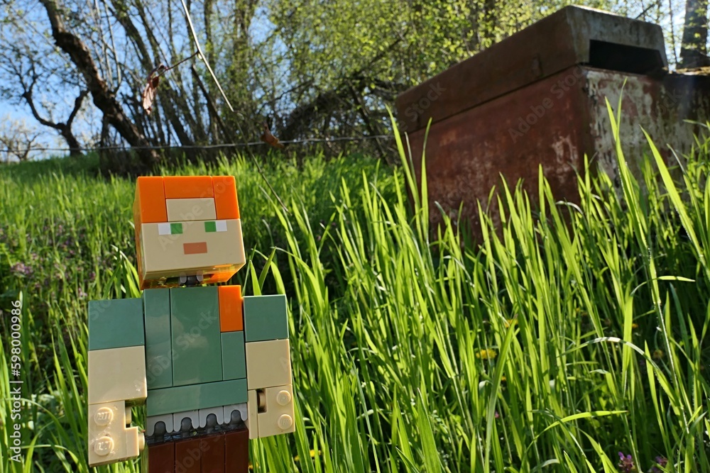 Fototapeta premium LEGO Minecraft toy figure of Alex standing next to fresh spring grass sunlit by afternoon sunshine.