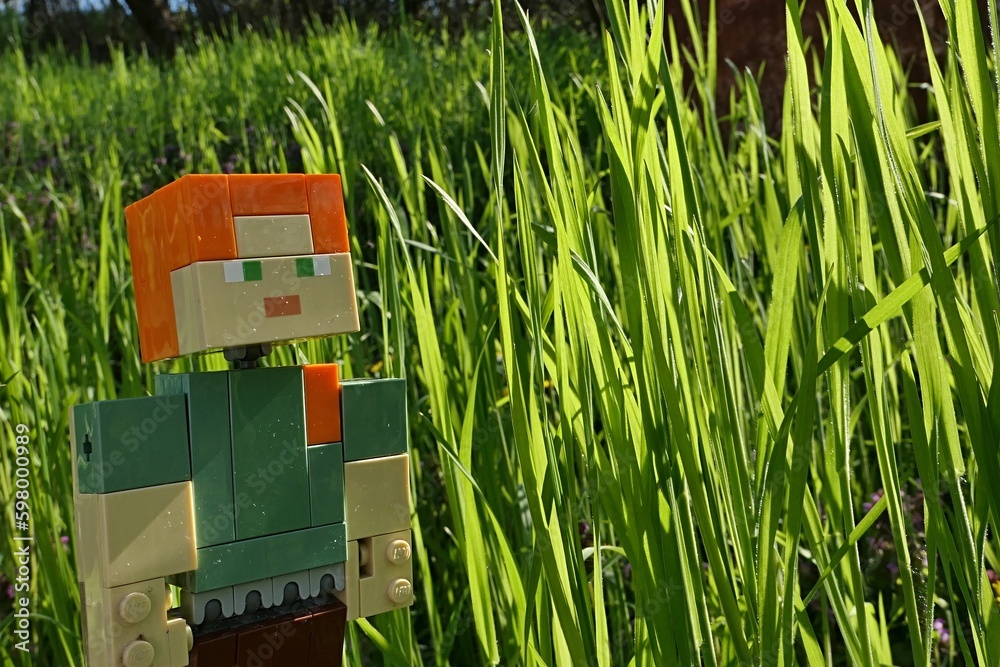 Fototapeta premium LEGO Minecraft toy figure of Alex standing next to long spring grass sunlit by afternoon sunshine.
