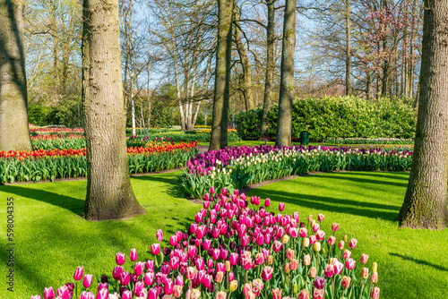 Beautiful Keukenhof Garden with blooming tulips  Holland