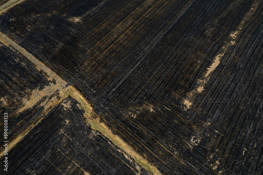 Fototapeta premium burn rice fields, aerial view from flying drone of Field rice, Forest fires