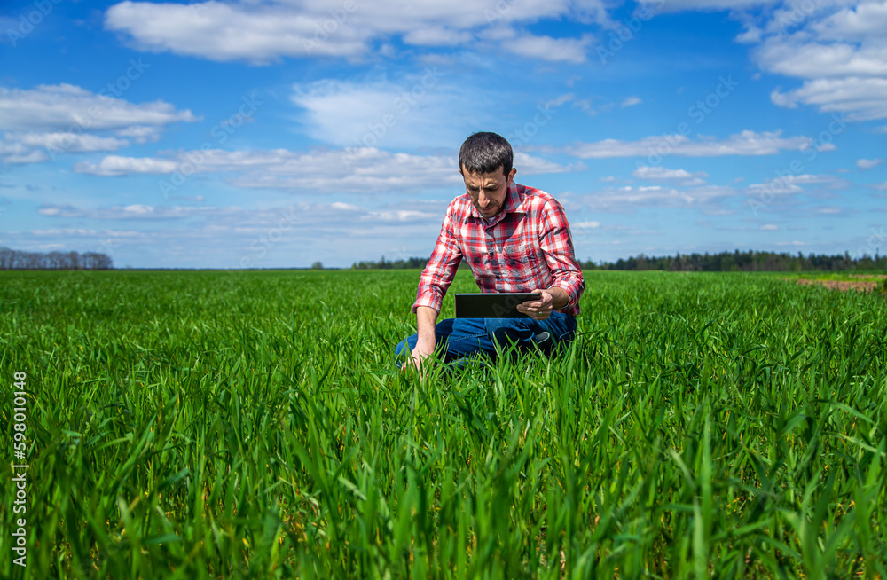 A man farmer checks how wheat grows in the field. Selective focus. A man farmer checks how wheat grows in the field. Selective focus.
