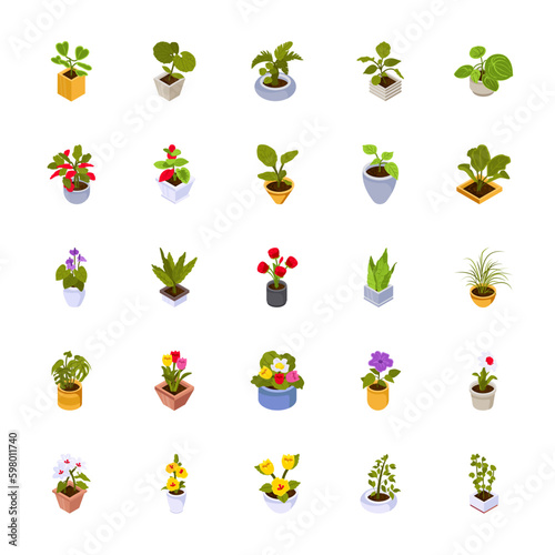 Home plants in flowerpot. Houseplants isolated. Trendy hugge style, urban jungle decor. Hand drawn. Set collection. Green, poster, banner. Logo, label, Icons, Illustration.