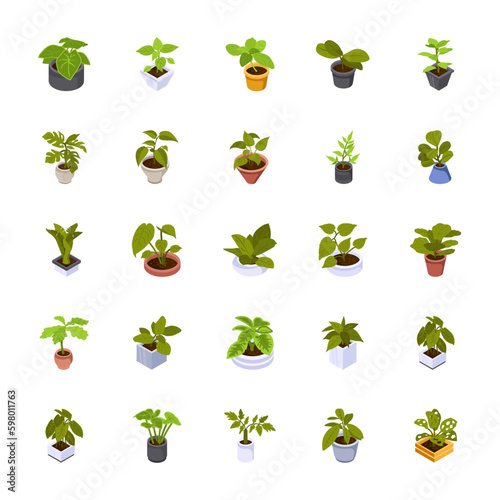 Home plants in flowerpot. Houseplants isolated. Trendy hugge style, urban jungle decor. Hand drawn. Set collection. Green, poster, banner. Logo, label, Icons, Illustration.