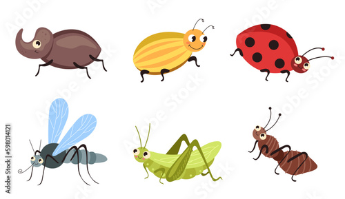 Insect cute bug beetle ladybug isolated set. Vector graphic design illustration