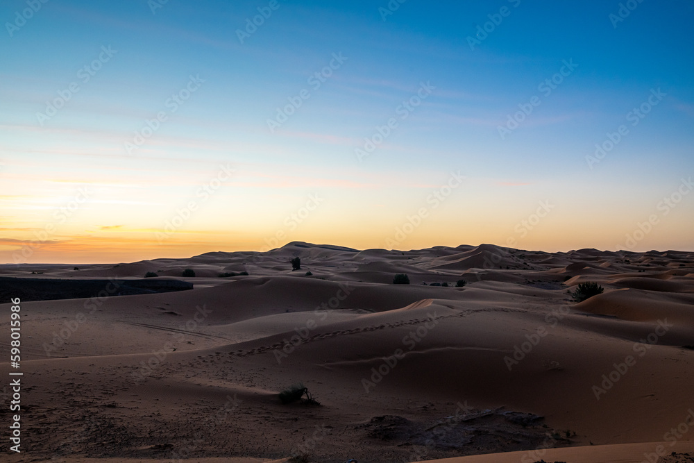 Sahara magic Sahara magic