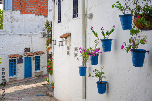 white walls with blue doors, a street in town with white houses, blue flower pots © Jenny