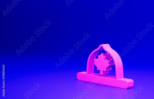 Pink Canadian ranger hat uniform icon isolated on blue background. Minimalism concept. 3D render illustration photo