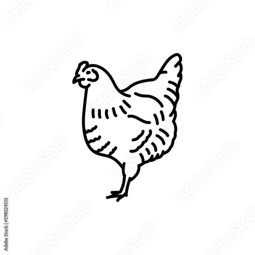 Chicken black line icon. Farm animals.